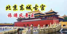 男人鸡巴插女人逼视频中国北京-东城古宫旅游风景区